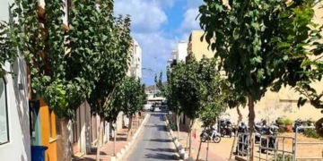 Κινδυνεύουν οι μουρνιές της πόλης
