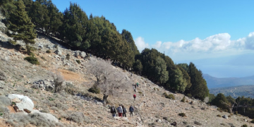 O Ορειβατικός Σύλλογος Αγίου Νικολάου περπατά στα Μινωικά μονοπάτια της Κριτσάς και του Καθαρού