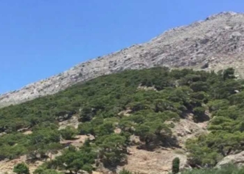 Δασικές ιδιοκτησίες: «Δεν είναι λάθος, είναι δόλος»
