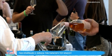 Πώς επηρεάζει η ξηρασία την παραγωγή του κρασιού (βίντεο)