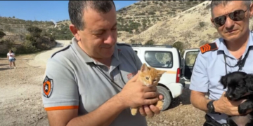 Μια πράξη αγάπης από τη Δημοτική Αστυνομία Ιεράπετρας: Διάσωση γατιού και κουταβιού (video)