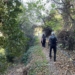 Πεζοπορία στο Φαράγγι Ρόζας- Φαράγγι Εμπασάς