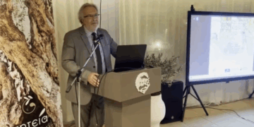 Η Σητεία γιόρτασε την Παγκόσμια Ημέρα Ελιάς και Ελαιολάδου