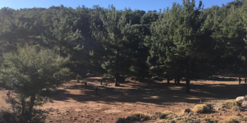 Η επόμενη πεζοπορία του Ορειβατικού Συλλόγου Αγίου Νικολάου
