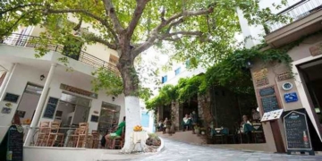 Πώς θα σώσουμε τα πλατάνια; Ο πλάτανος στην Κριτσά και στο Κράσι