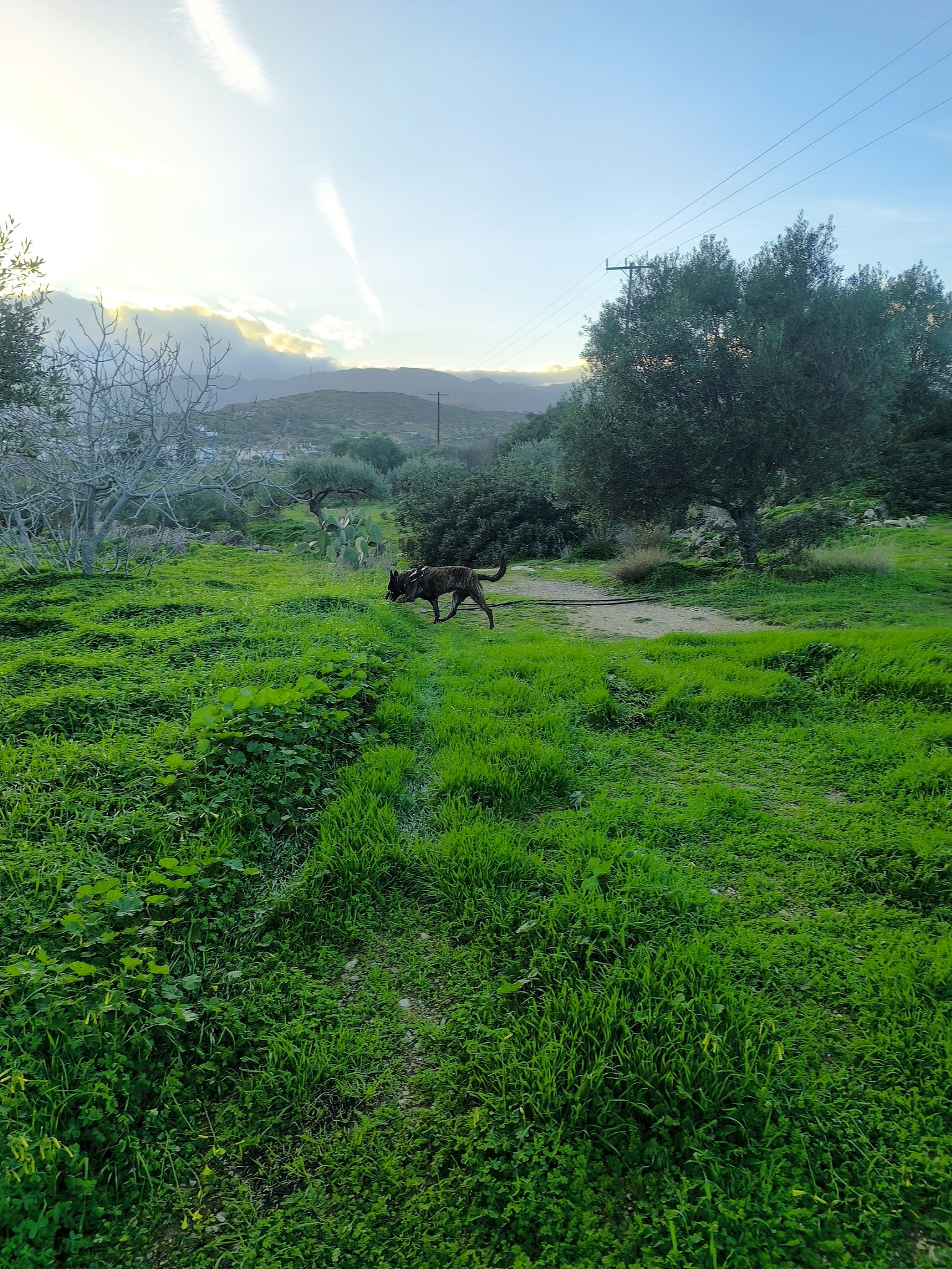 Φώτο: George Chorafas
