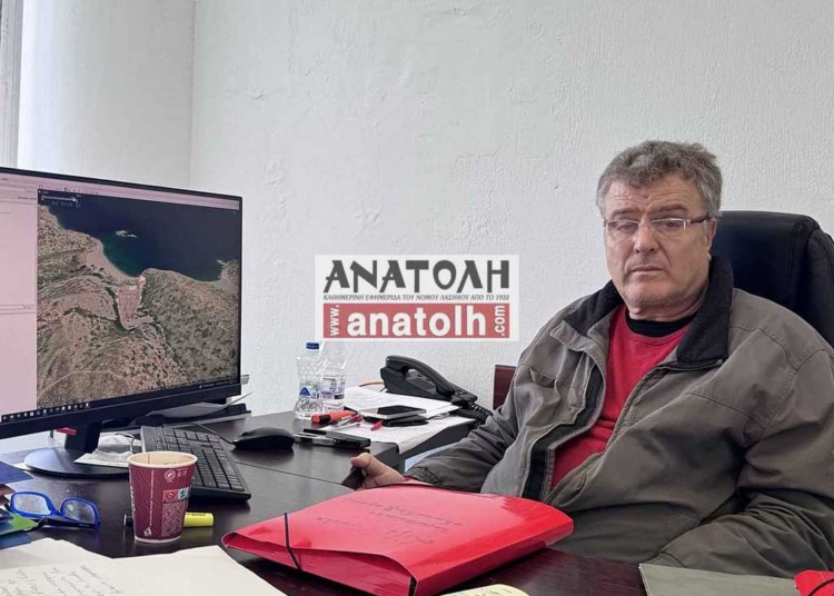Μειώθηκε η παρουσία του κόκκινου σκαθαριού – Δράσεις για την προστασία του φοινικόδασους