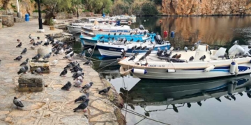 Τα περιστέρια της Λίμνης του Αγίου Νικόλαου ξεκουράζονται στις βάρκες (βίντεο)