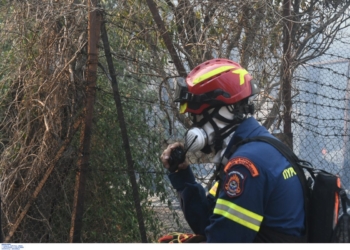 Kρίσεις στο Πυροσβεστικό Σώμα – Νέος υπαρχηγός του ΠΣ ο αντιστράτηγος Αν. Παππάς
