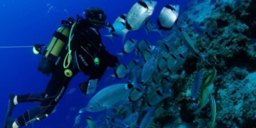 Στρατηγική συνεργασία για την ανάπτυξη του καταδυτικού τουρισμού