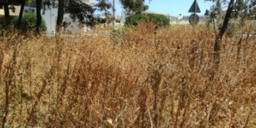 Ανακοίνωση Δήμου Αγίου Νικολάου για καθαρισμό οικοπέδων και λοιπών ακάλυπτων χώρων ενόψει αντιπυρικής περιόδου 2026