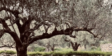 Διάκριση μαθητή του Γυμνασίου Κριτσάς στον 4ο Παγκρήτιο Διαγωνισμό Ψηφιακής Φωτογραφίας