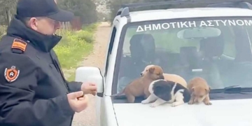 Διάσωση εγκαταλελειμμένων κουταβιών