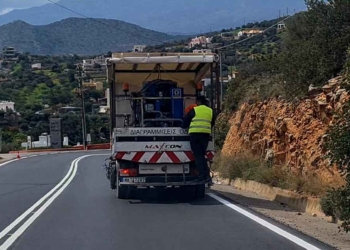 Αμέτρητα περιστέρια και δύο γλάροι έκαναν κατάληψη σε βάρκες της Λίμνης (βίντεο)
