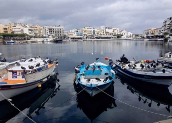 Αμέτρητα περιστέρια και δύο γλάροι έκαναν κατάληψη σε βάρκες της Λίμνης (βίντεο)
