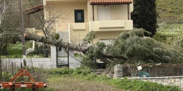 Προειδοποίηση της Πολιτικής Προστασίας Δήμου Οροπεδίου Λασιθίου για πτώσεις δέντρων και κομμένα καλώδια