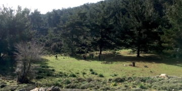 Η επόμενη πεζοπορία του Ορειβατικού Συλλόγου Αγίου Νικολάου