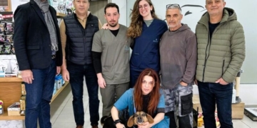 150 στειρώσεις και ηλεκτρονικές σημάνσεις αδέσποτων στον Δήμο Χερσονήσου