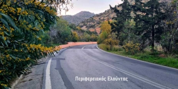 Οι κατακίτρινες ακακίες ομορφαίνουν τους δρόμους!