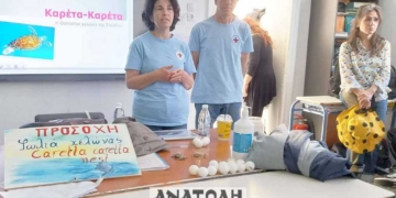Ευαισθητοποίηση για την προστασία της θαλάσσιας χελώνας καρέτα καρέτα