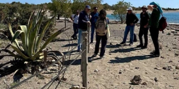 Αυτοψία στη νήσο Χρυσή  της Αποκεντρωμένης Διοίκησης Κρήτης και συναρμόδιων υπηρεσιών