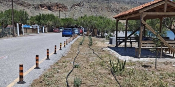 Δράση δεντροφύτευσης στην Κάτω Ζάκρο και τον Ξερόκαμπο