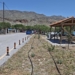 Δράση δεντροφύτευσης στην Κάτω Ζάκρο και τον Ξερόκαμπο