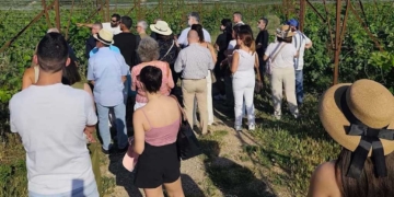 «Κρητικές Γεύσεις με Ταυτότητα. ΠΟΠ, παράδοση και βιωσιμότητα»