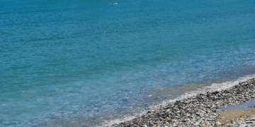 Η φωτογραφία της ημέρας