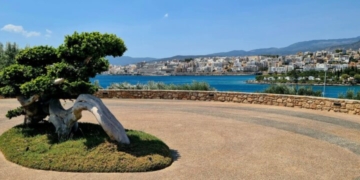 Η φωτογραφία της ημέρας
