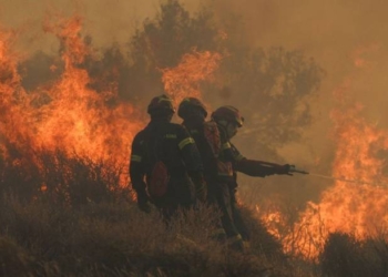 Καίγονται ελαιόδεντρα στο Δεσονάρι
