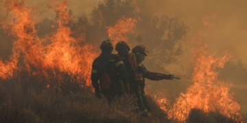 Καίγονται ελαιόδεντρα στο Δεσονάρι