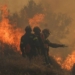 Καίγονται ελαιόδεντρα στο Δεσονάρι