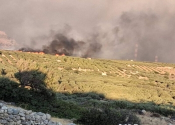 Δύσκολη η μάχη με τις φλόγες στην Αγία Τριάδα Σητείας: Η φωτιά κινείται προς τον Αθερινόλακο