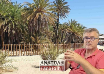 Επεκτείνονται τα μέτρα για την προστασία  του φοινικόδασους από το κόκκινο σκαθάρι
