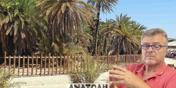 Επεκτείνονται τα μέτρα για την προστασία του φοινικόδασους από το κόκκινο σκαθάρι