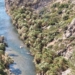Περιορισμένες οι ζημιές στο Φοινικόδασος του Πρέβελη, σύμφωνα με την Περιφερειακή Ενότητα