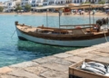 Λαγοκέφαλοι στην Κρήτη – Η αλήθεια για την ασφάλεια των λουόμενων και το σχέδιο στήριξης των αλιέων