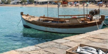 Λαγοκέφαλοι στην Κρήτη – Η αλήθεια για την ασφάλεια των λουόμενων και το σχέδιο στήριξης των αλιέων