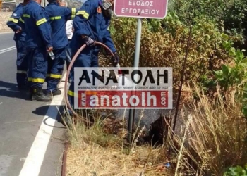 Άμεση επέμβαση της Πυροσβεστικής σε φωτιά στον δρόμο Αγίου Νικολάου – Λακωνίων