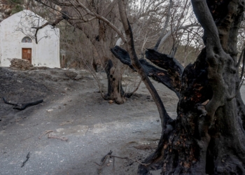 Συνελήφθη ο υπεύθυνος λειτουργίας του δικτύου του ΔΕΔΔΗΕ Ρεθύμνου στο πλαίσιο της έρευνας για τη μεγάλη πυρκαγιά