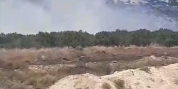Αυτόματο προσχέδιο