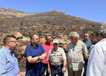 Γ. Πλακιωτάκης: Αυτοψία στις πληγείσες από την πυρκαγιά περιοχές του Αθερινόλακκου