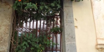 Η φωτογραφία της ημέρας