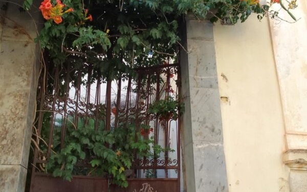 Φώτο: Ελπίδα Γρηγοράκη