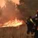 Υψηλός κίνδυνος πυρκαγιάς σε όλη την Κρήτη την Παρασκευή