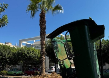 Ηράκλειo: Συνεχίζονται οι εργασίες συντήρησης και καλλωπισμού- Που δίνεται προτεραιότητα