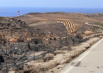 Γ. Πλακιωτάκης: Αυτοψία στις πληγείσες από την πυρκαγιά περιοχές του Αθερινόλακκου