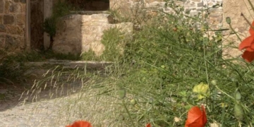 Η φωτογραφία της ημέρας