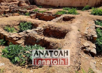 Ο επίμονος «εισβολέας» στον αρχαιολογικό χώρο της Καμάρας